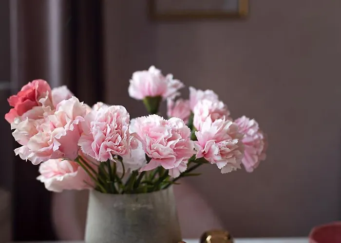 Goscinne Pod Lipami * Kudowa-Zdrój